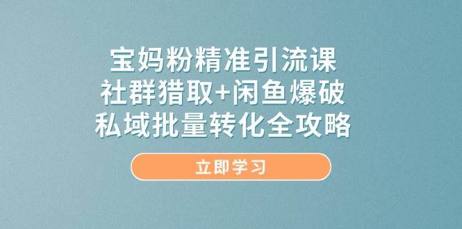 宝妈粉精准引流课程 社群猎取+闲鱼爆破，私域批量转化全攻略-天边资源网