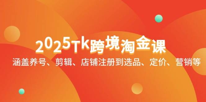 2025TK跨境淘金课程