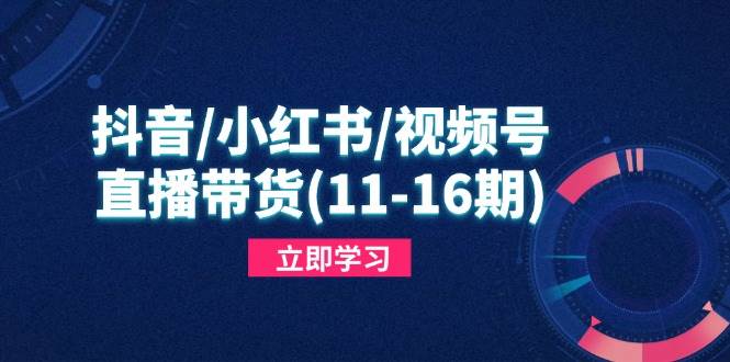 抖音/小红书/视频号/直播带货课程