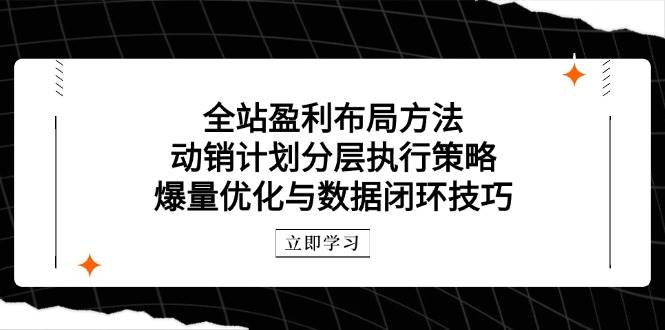 全站盈利布局方法