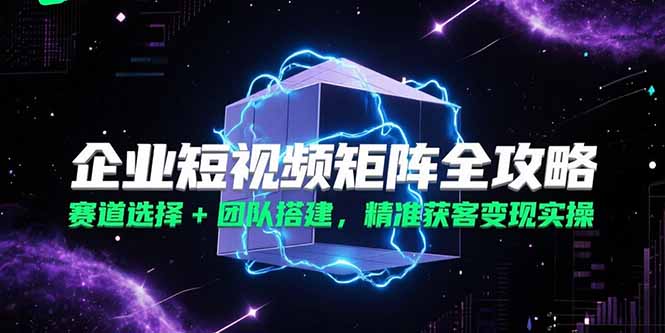 图片[1]-企业短视频矩阵全攻略，赛道选择+团队搭建，精准获客变现实操-天边资源网