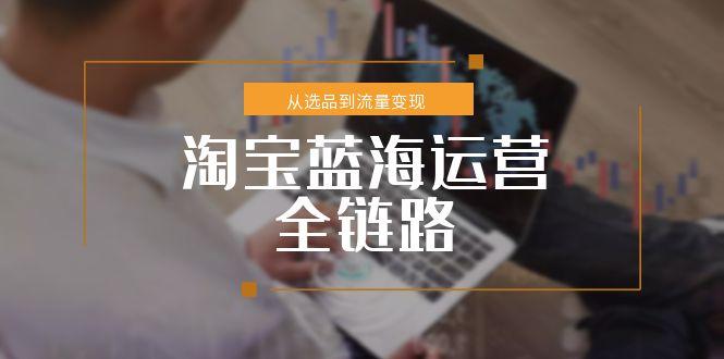 图片[1]-淘宝蓝海运营全链路，从选品到流量变现，小类目突围完整方案-天边资源网