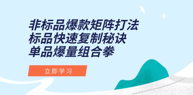 非标品爆款矩阵打法