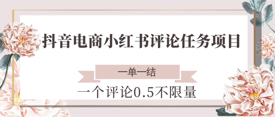 抖音电商小红书评论任务项目