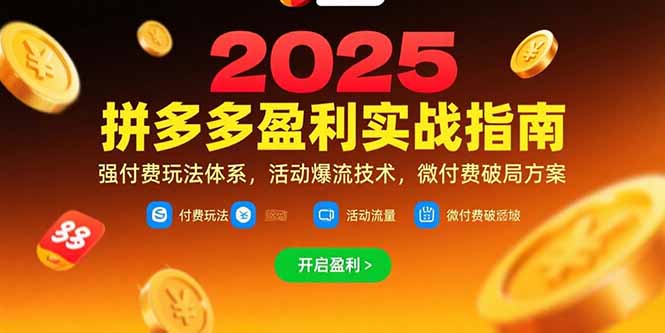 图片[1]-拼多多盈利实战指南，强付费玩法，活动爆流技术，微付费破局方案(更新7月)-天边资源网