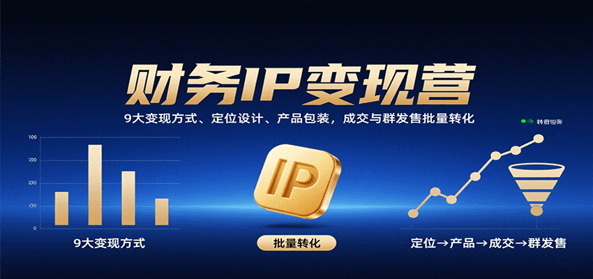 图片[1]-财务IP变现课程 9大变现方式、定位设计、产品包装，成交与群发售批量转化-天边资源网