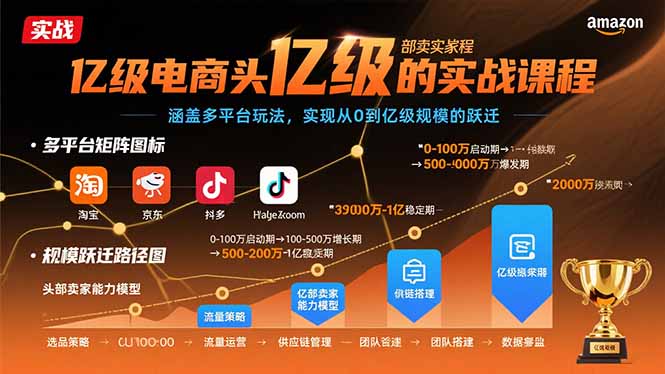 亿级电商头部卖家的实战课程：涵盖多平台玩法，实现从0到亿级规模的跃迁-天边资源网