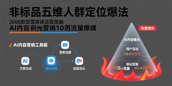 图片[1]-非标品五维人群定位法，2000款滚雪球运营策略，AI内容营销10万流量引爆-天边资源网