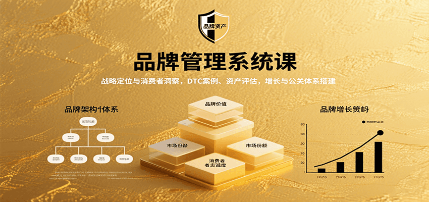 图片[1]-品牌管理系统课程 战略定位与消费者洞察，DTC案例、资产评估，增长与公关体系搭建-天边资源网