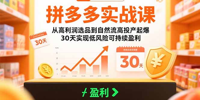 图片[1]-拼多多实战课程 从高利润选品到自然流高投产起爆 30天实现低风险可持续盈利-天边资源网