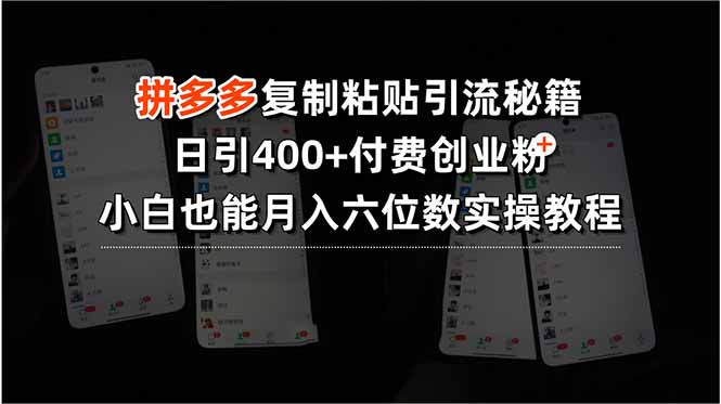 图片[1]-拼多多复制粘贴引流秘籍，日引400+付费创业粉，小白也能月入六位数【揭秘】-天边资源网