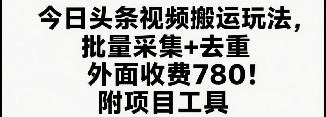 图片[1]-今日头条视频搬运玩法，软件一键去重，轻松日入500+（附工具）-天边资源网