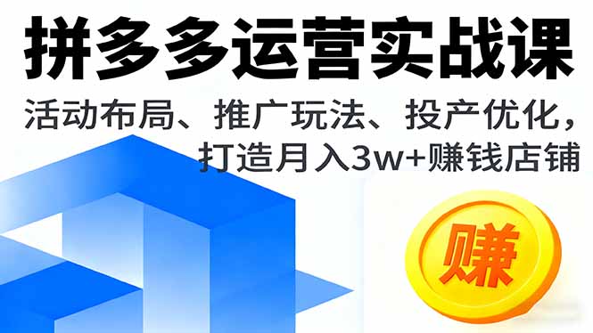 图片[1]-拼多多运营实战课程 活动布局、推广玩法、投产优化，打造月入3w+赚钱店铺-天边资源网