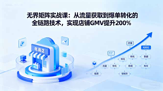 图片[1]-无界矩阵实战课程 从流量获取到爆单转化的全链路技术，实现店铺GMV提升200%-天边资源网