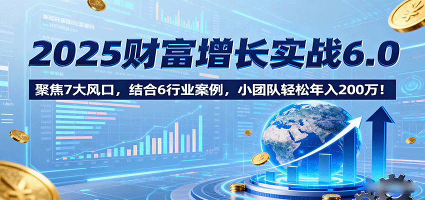2025财富增长实战6.0，聚焦7大风口，结合6行业案例，小团队轻松年入200万-天边资源网