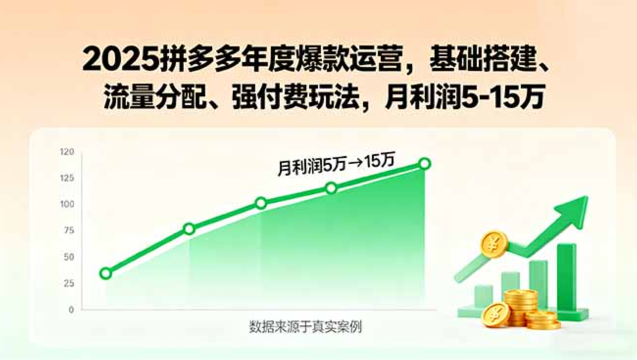 图片[1]-2025拼多多年度爆款运营，基础搭建、流量分配、强付费玩法，月利润5-15万-天边资源网