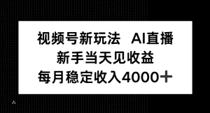 视频号新玩法AI直播，新手小白当天见收益，月入4000+【揭秘】-天边资源网