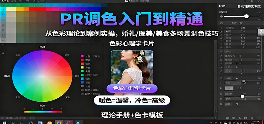 图片[1]-PR调色入门到精通：从色彩理论到案例实操，婚礼/医美/美食多场景调色技巧-天边资源网