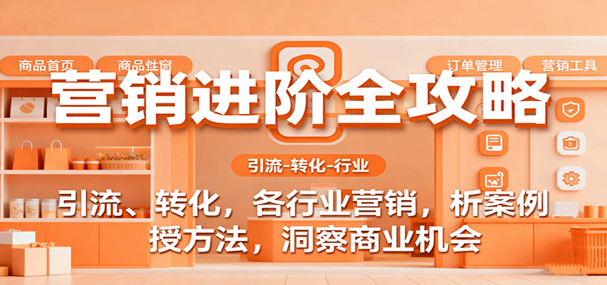图片[1]-营销进阶全攻略，引流、转化，各行业营销，析案例，授方法，洞察商业机会-天边资源网