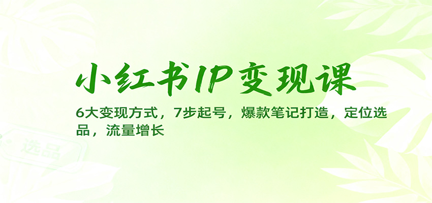 图片[1]-小红书IP变现课程 6大变现方式，7步起号，爆款笔记打造，定位选品，流量增长-天边资源网