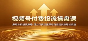 视频号付费投流操盘课：多维分析投放策略，借力付费流量带动自然流长效增长收益-天边资源网
