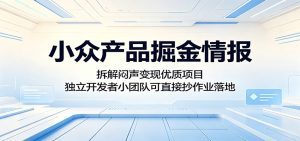 小众产品掘金情报：拆解闷声变现优质项目，独立开发者小团队可直接抄作业落地-天边资源网