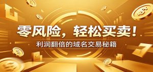 零风险域名交易实战秘籍：新手安全买卖教学，选品定价谈判实现收益翻倍-天边资源网