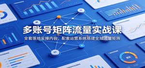 多账号矩阵流量实战课：全套落地实操内容，配套运营系统搭建全域流量矩阵-天边资源网