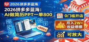 2026拼多多蓝海：AI做简历PPT一单800，0门槛开店，月入2W+，可放大-天边资源网