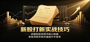 新股打新实战技巧：读懂招股说明书核心数据，拿捏顶格申购市值提升中签率-天边资源网