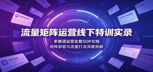 流量矩阵运营线下特训实录：多赛道运营全套SOP文档，矩阵获客与流量打法深度拆解-天边资源网
