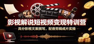 影视解说短视频变现特训营：高分影视文案撰写，配音剪辑成片实操-天边资源网