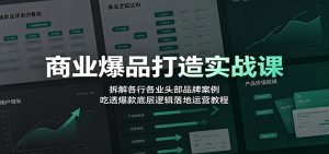 商业爆品打造实战课：拆解各行各业头部品牌案例，吃透爆款底层逻辑落地运营教程-天边资源网