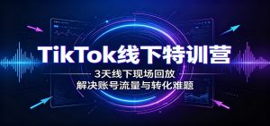 TikTok线下特训营：3天线下现场回放，解决账号流量与转化难题-天边资源网