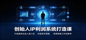 创始人IP利润系统打造课：打造差异化活人感人设，内容抓手搭建，导演思维工作流教学-天边资源网