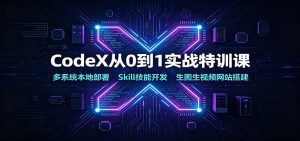 CodeX从0到1实战特训课：多系统本地部署，Skill技能开发，生图生视频网站搭建-天边资源网