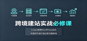 跨境建站实战必修课：Codex搭建WordPress站点，关键词外链打造谷歌流量阵地-天边资源网