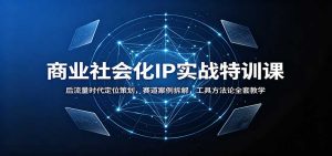 商业社会化IP实战特训课：后流量时代定位策划，赛道案例拆解，工具方法论全套教学-天边资源网
