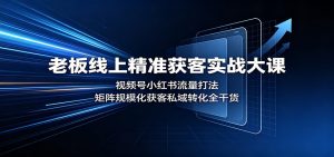 老板线上精准获客实战大课：视频号小红书流量打法，矩阵规模化获客私域转化全干货-天边资源网