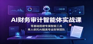 AI财务审计智能体实战课：零基础搭建专属智能工具，单人依托AI媲美专业财审团队-天边资源网