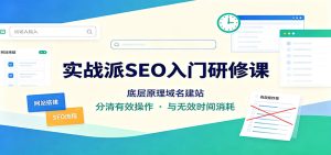 实战派SEO入门研修课：底层原理域名建站，分清有效操作与无效时间消耗-天边资源网