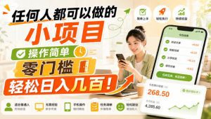任何人都可以做的小项目：操作简单，零门槛轻松日入几百！-天边资源网