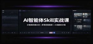 AI智能体Skill实战课：分镜高阶提示词，多角色智能体，小说剧本分镜-天边资源网